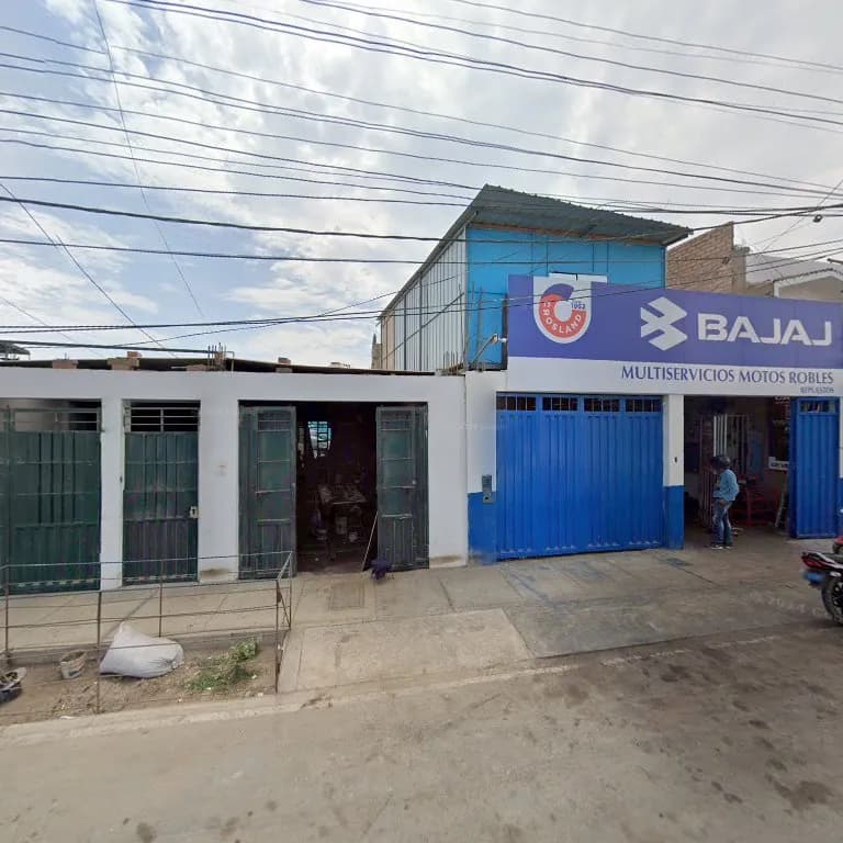 Multiservicios Robles