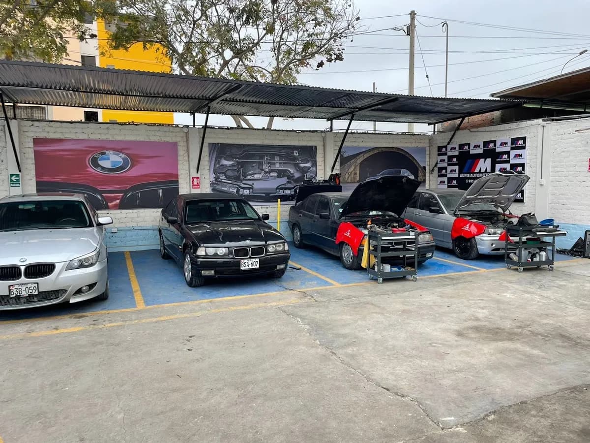 AURIS AUTOMOTRIZ