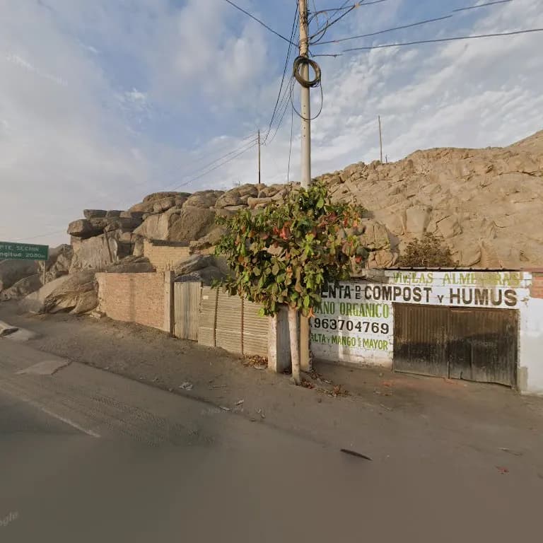 Mecánico frenos y embragues