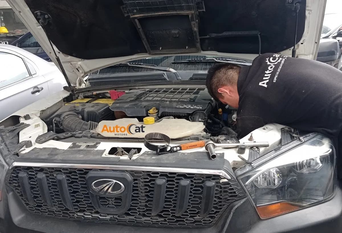 Autocat Motors