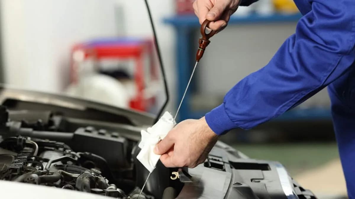 Lubricantes El Paisa Motor