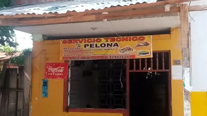 Servicio técnico pelona