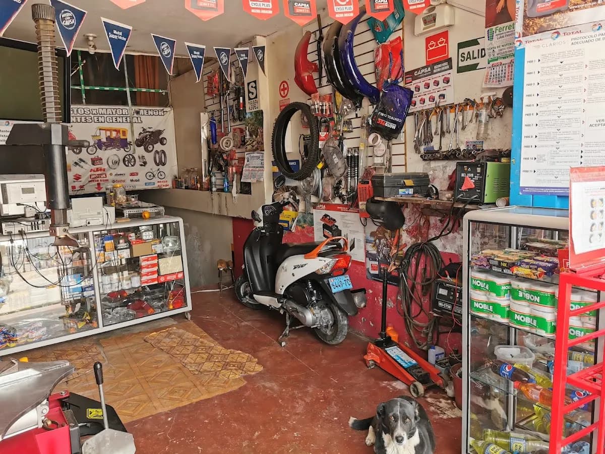 Multiservicios EL TIGRE
