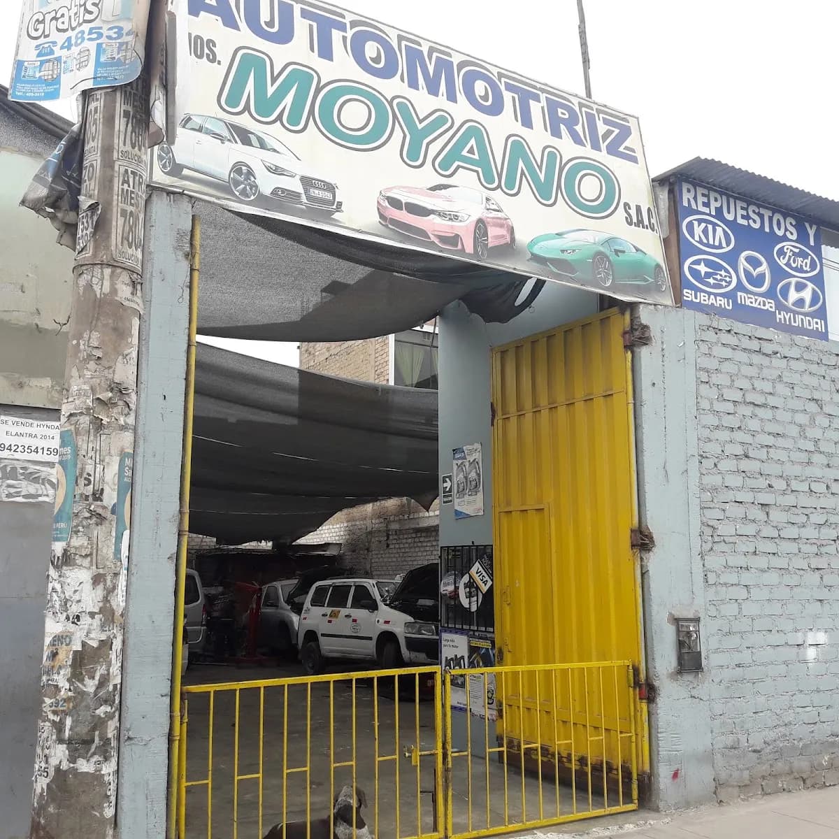 AUTOMOTRIZ MOYANO