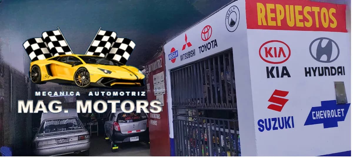Mecánica Automotriz MAG MOTORS