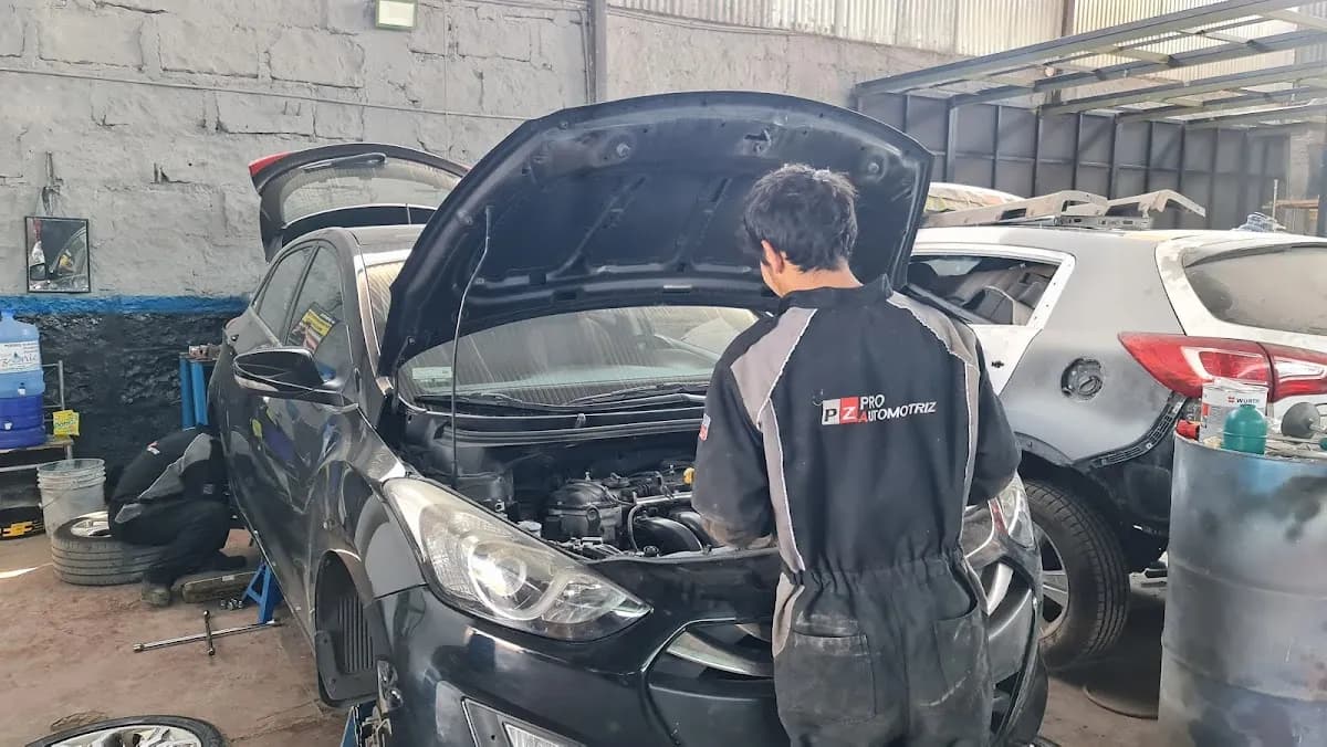 PZ PRO Automotriz