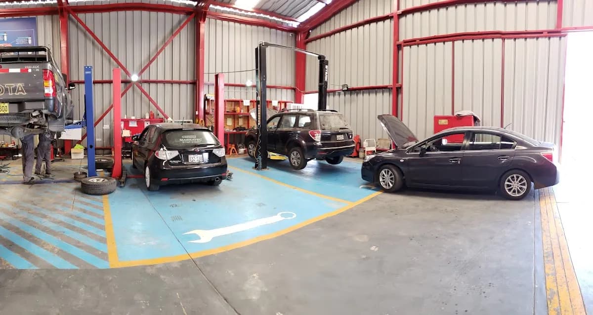 Taller 298